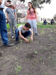 Taller de compostaje (8)