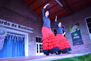 Encuentro de danza (50)