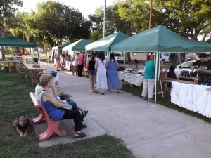 Feria Navideña (5)