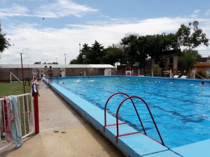 Natación gratuita para los mas peques (3)