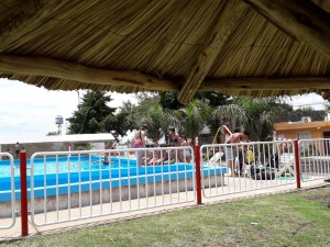 Natación gratuita para los mas peques (4)