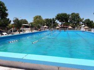 Natación gratuita para todos (3)