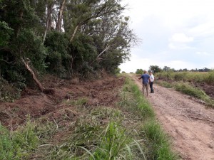 Trabajos sobre 28s (15)