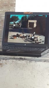 Charla sobre cria de aves (12)