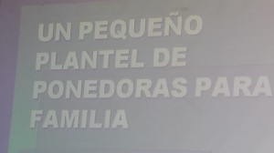 Charla sobre cria de aves (5)