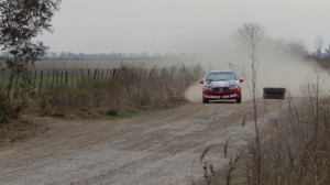 Rally 2019 (462)