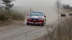 Rally 2019 (463)