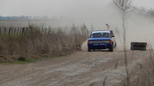 Rally 2019 (465)