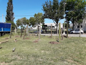 Playa de camiones - Quincho (2)