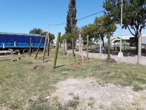 Playa de camiones - Quincho (3)