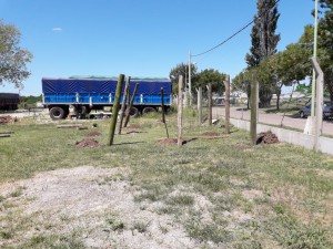 Playa de camiones - Quincho (4)