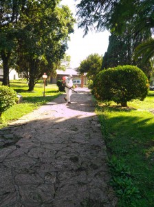 Fumigación Dengue (1)