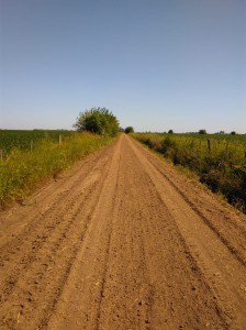 Trabajos caminos rurales (2)