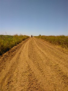 Trabajos caminos rurales (5)