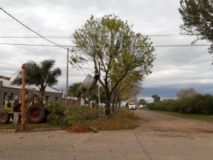 A. Público calle A. Storni (28)