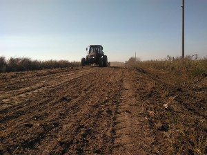 Camino grande Las Parejas (1)