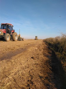 Camino grande Las Parejas (2)