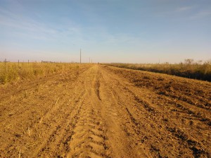 Camino grande Las Parejas (3)