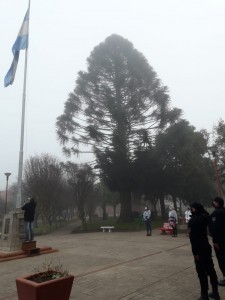 Acto día de la Bandera (7)