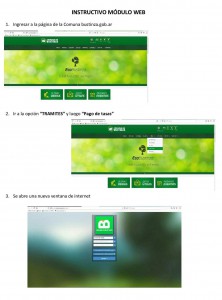Instructivo pago tasa web (1)