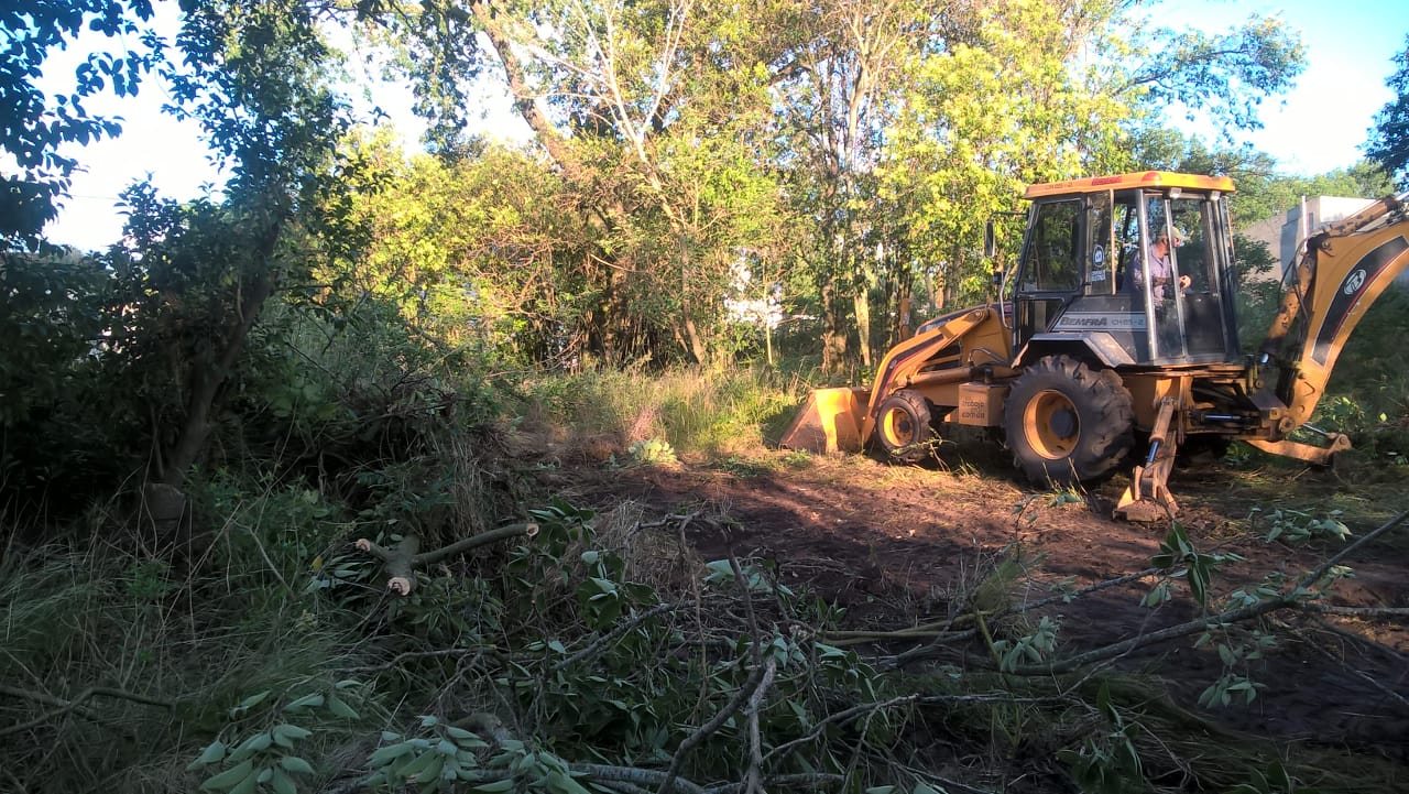 Limpieza De Terrenos Baldios Comuna De Bustinza Bustinza 4880